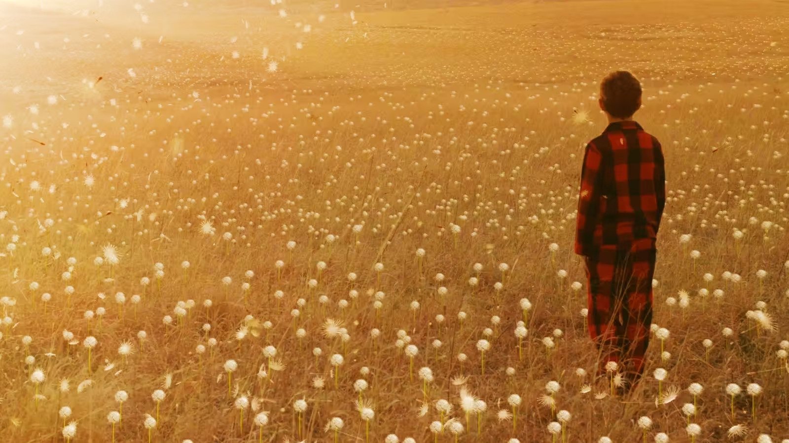 Backdrop for Wisher Maddox