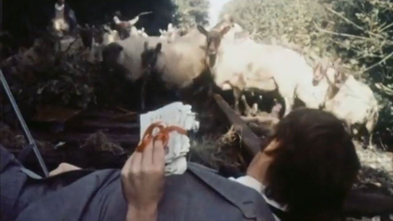 Backdrop for Ending It All