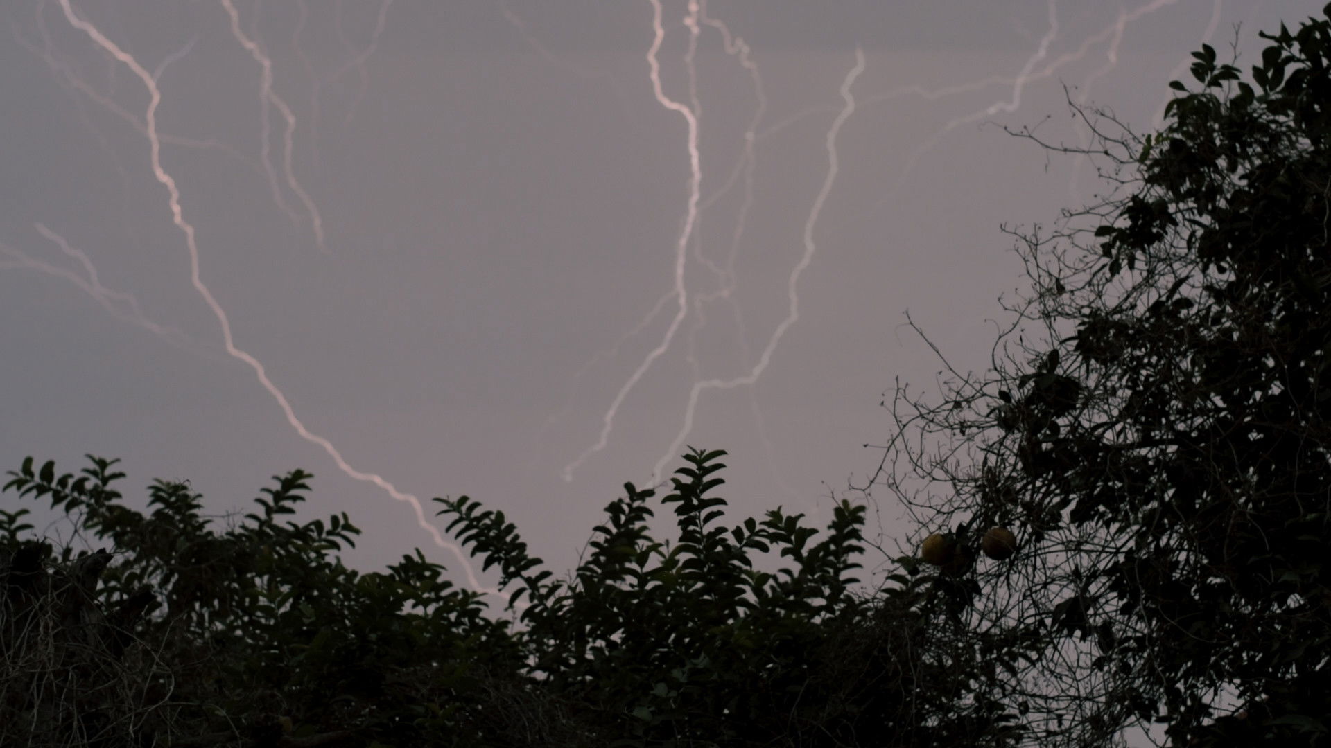 Backdrop for Home: a Cage