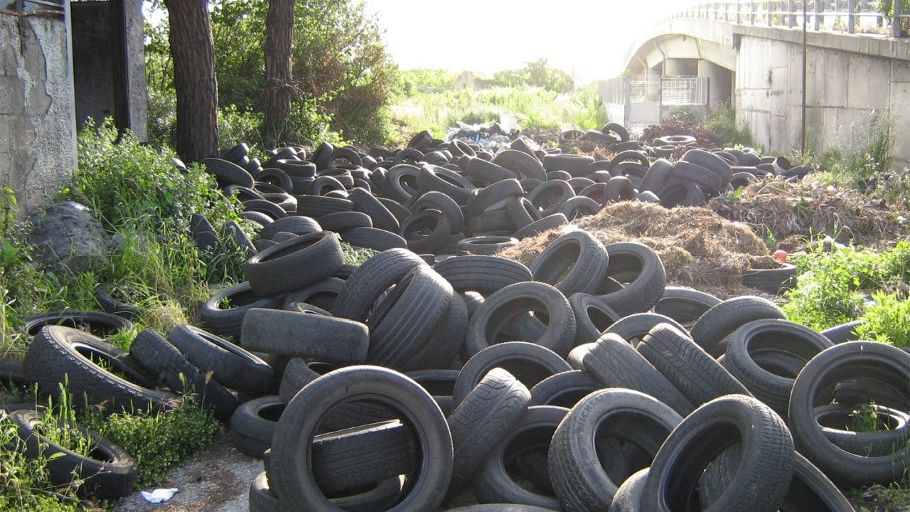 Backdrop for Biùtiful Cauntri