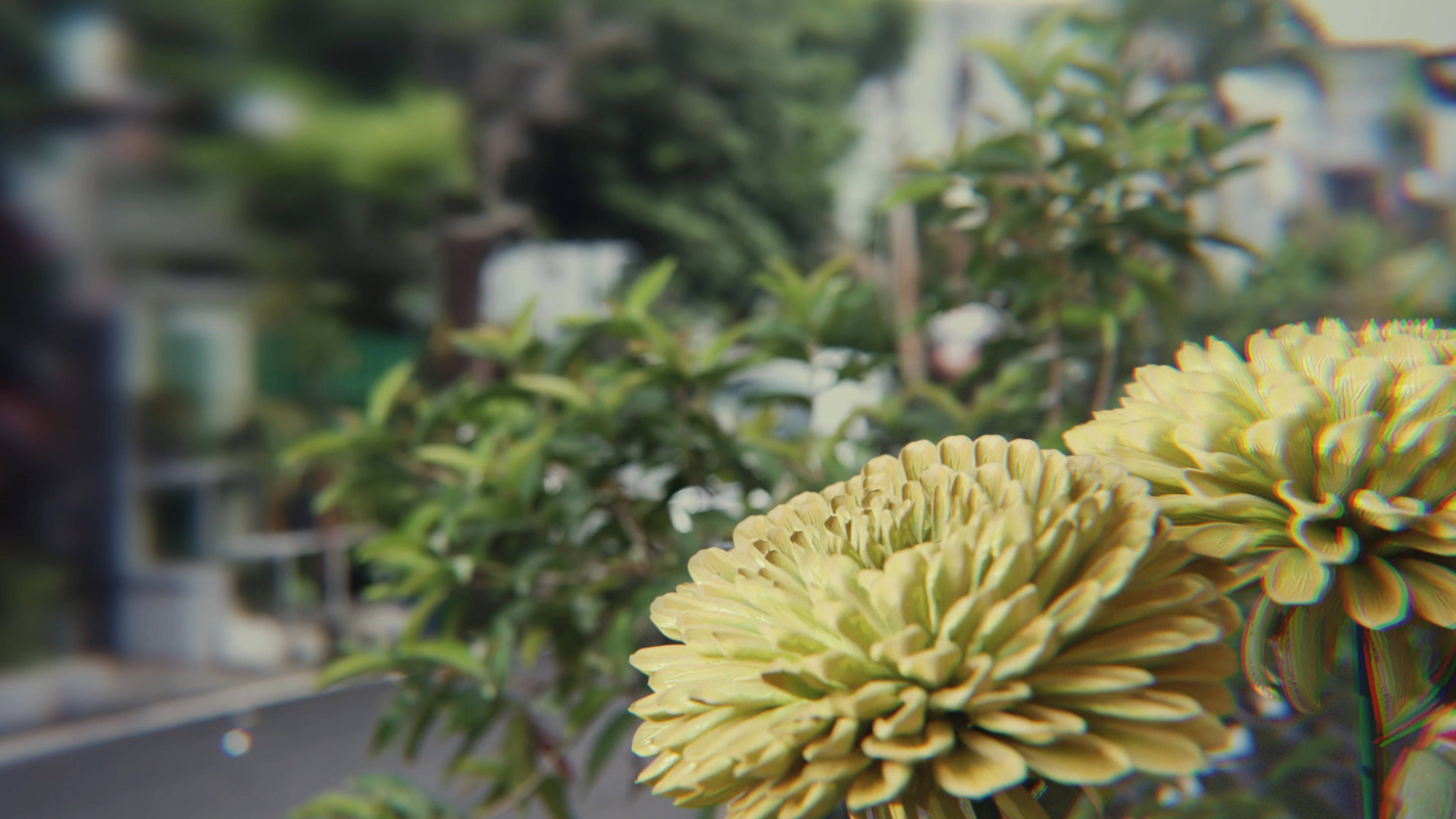 Backdrop for ESTRANGED