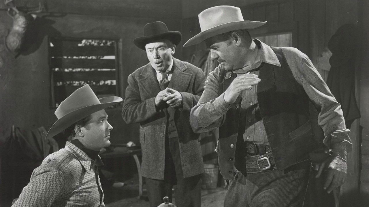 Backdrop for The Timber Trail