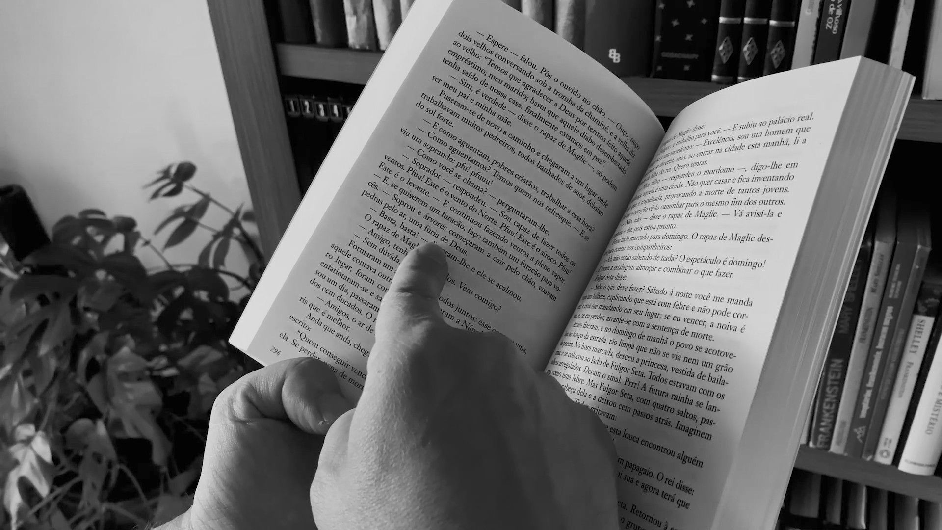 Backdrop for Do Pó ao Pó