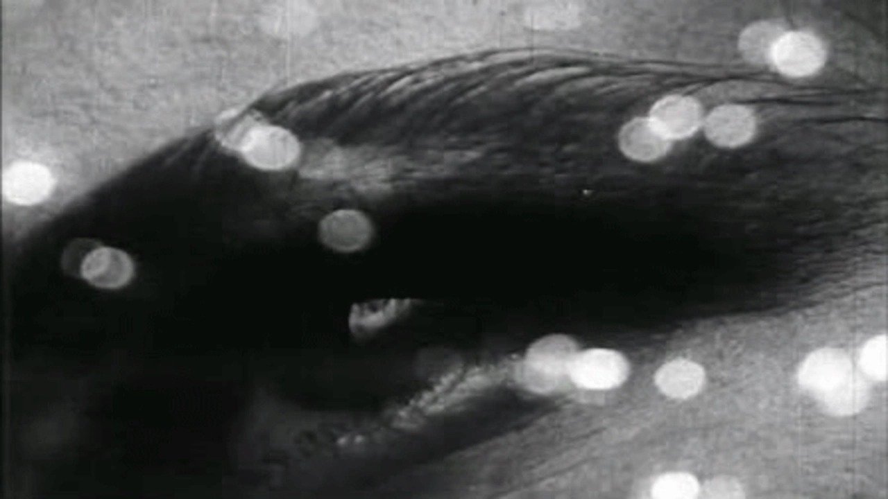 Backdrop for Triptych on Matter and Death