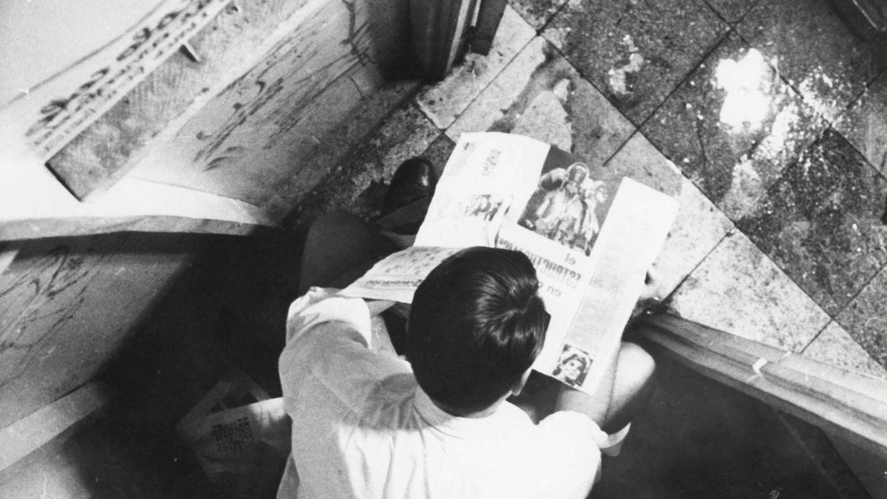 Backdrop for Three Sad Tigers