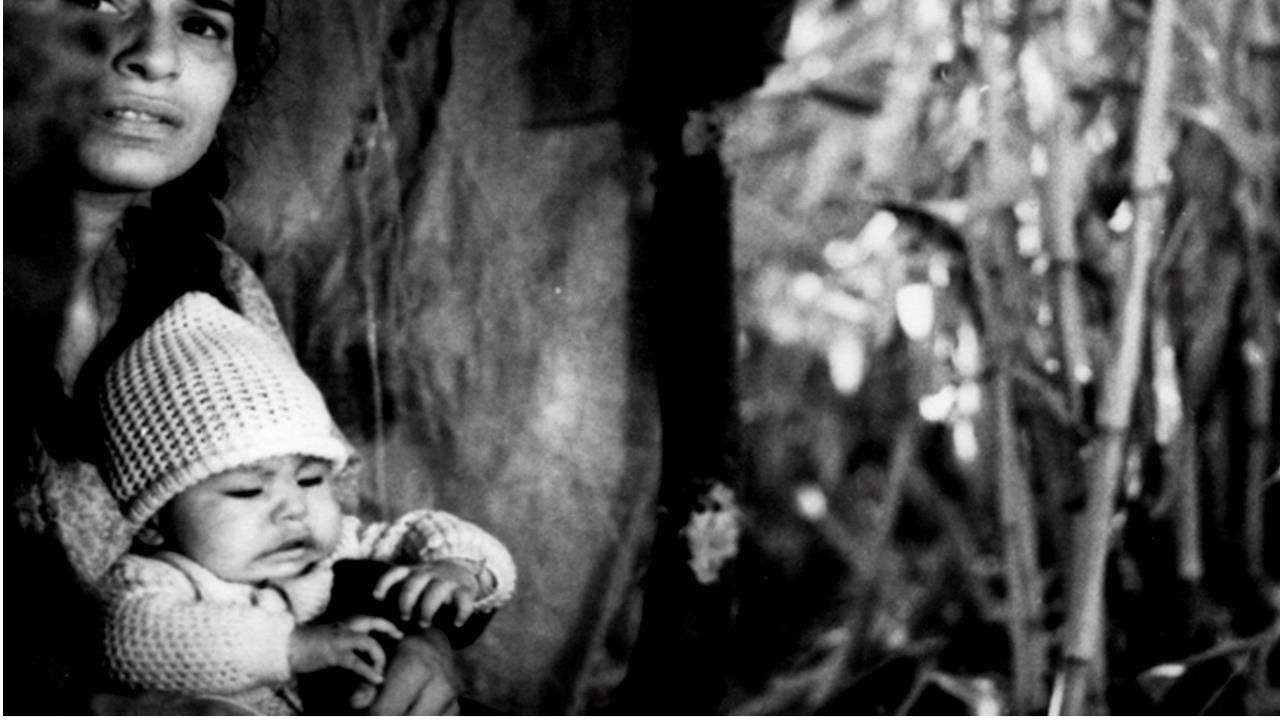 Backdrop for De ida y vuelta