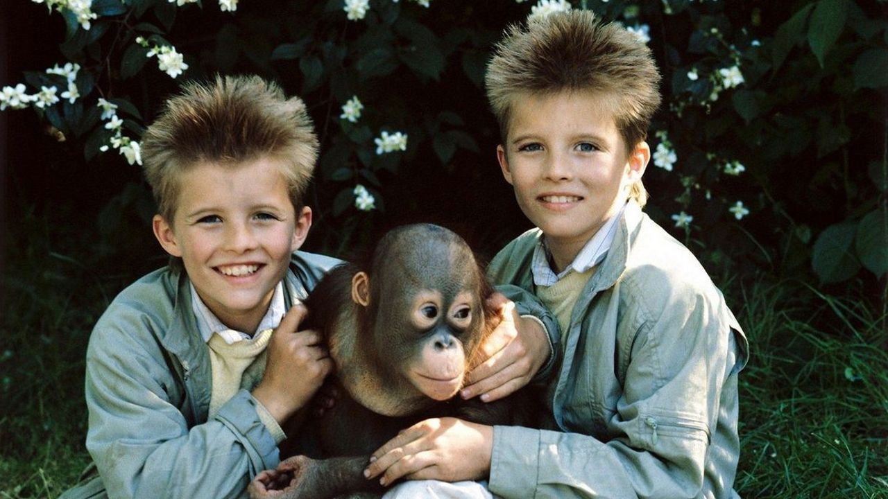 Backdrop for Twins at the Zoo