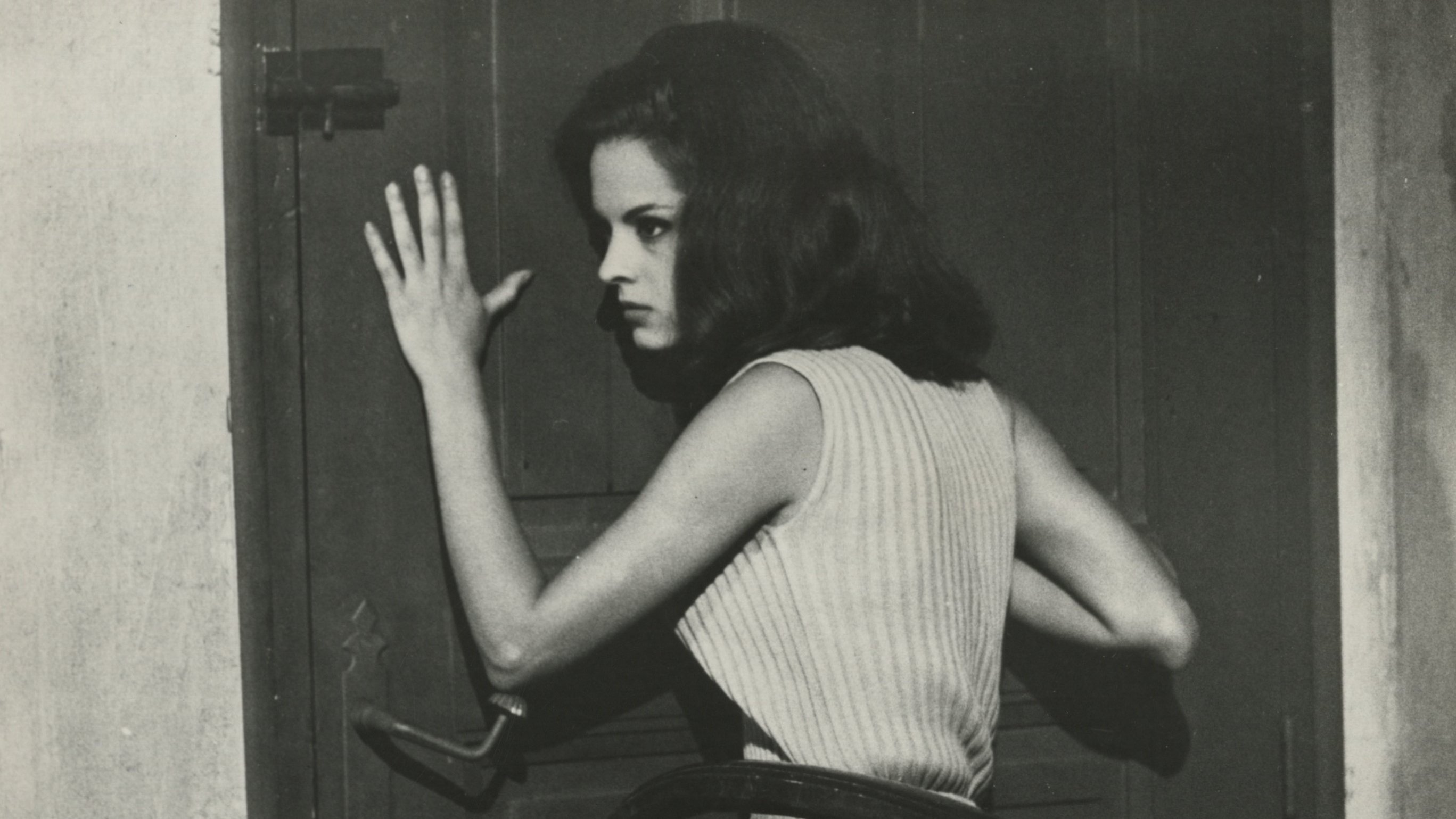 Backdrop for Sound of Horror