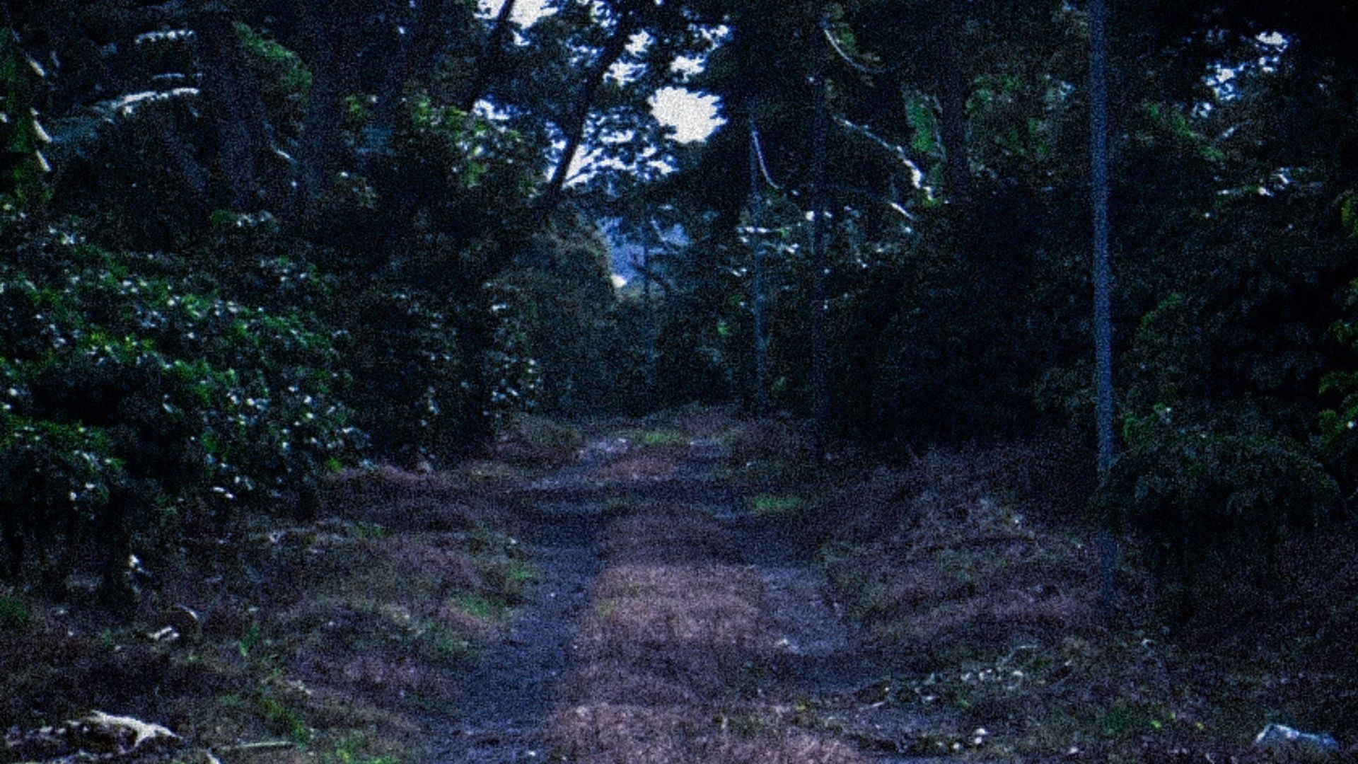 Backdrop for La Trocha