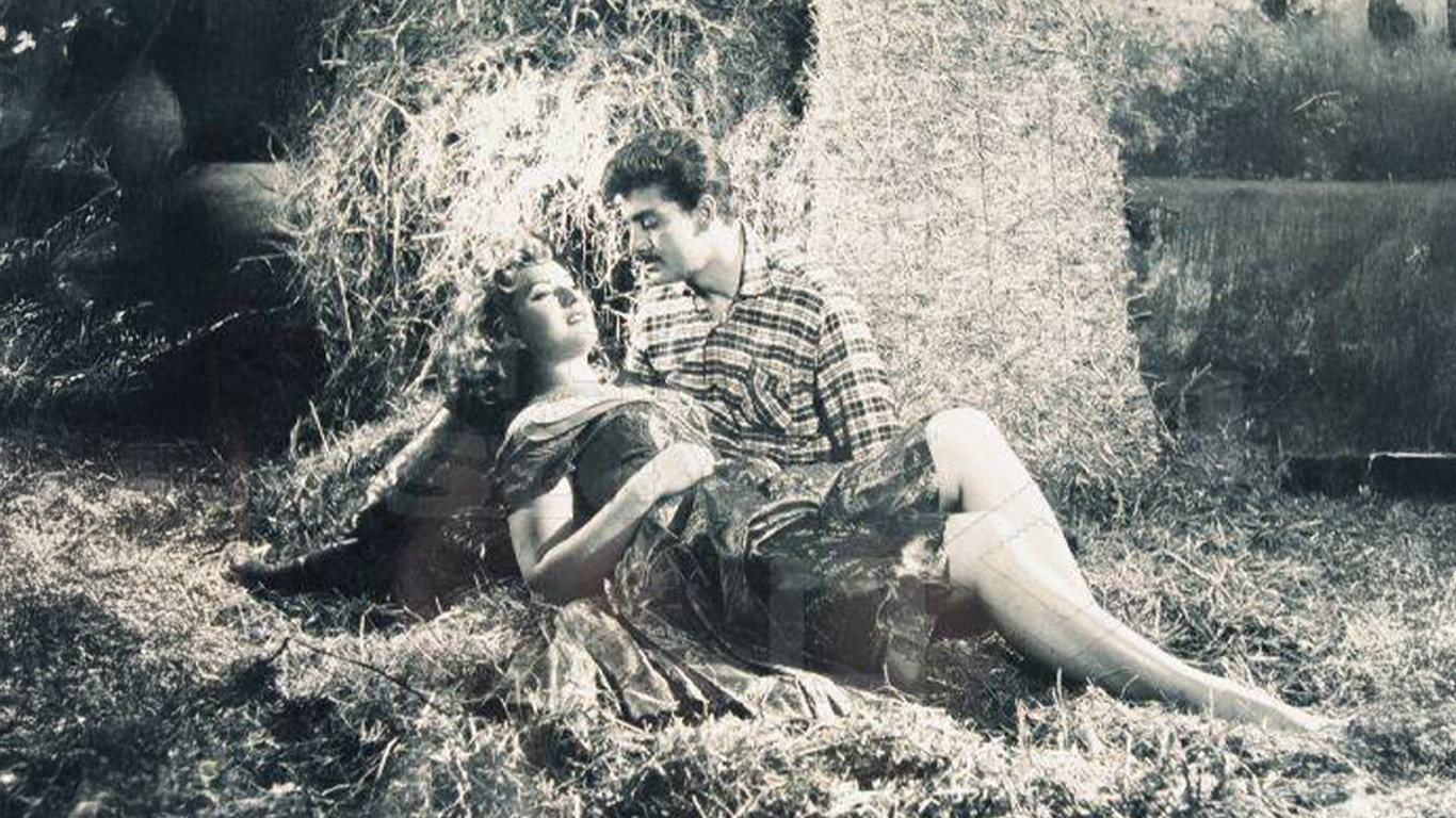 Backdrop for Tilki Leman