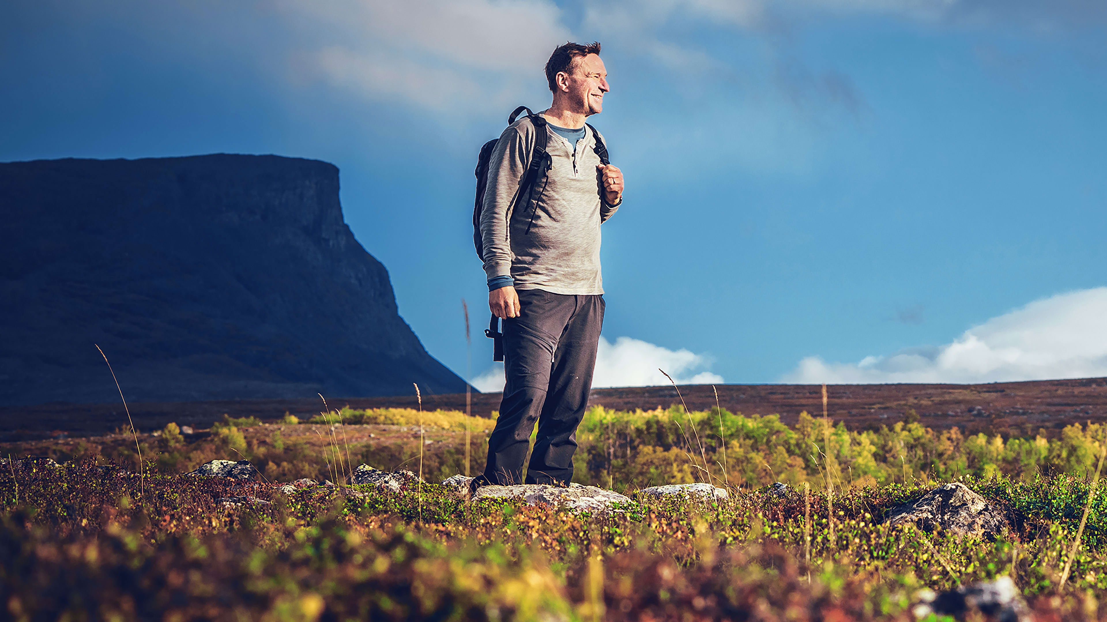 Backdrop for A Wilder World