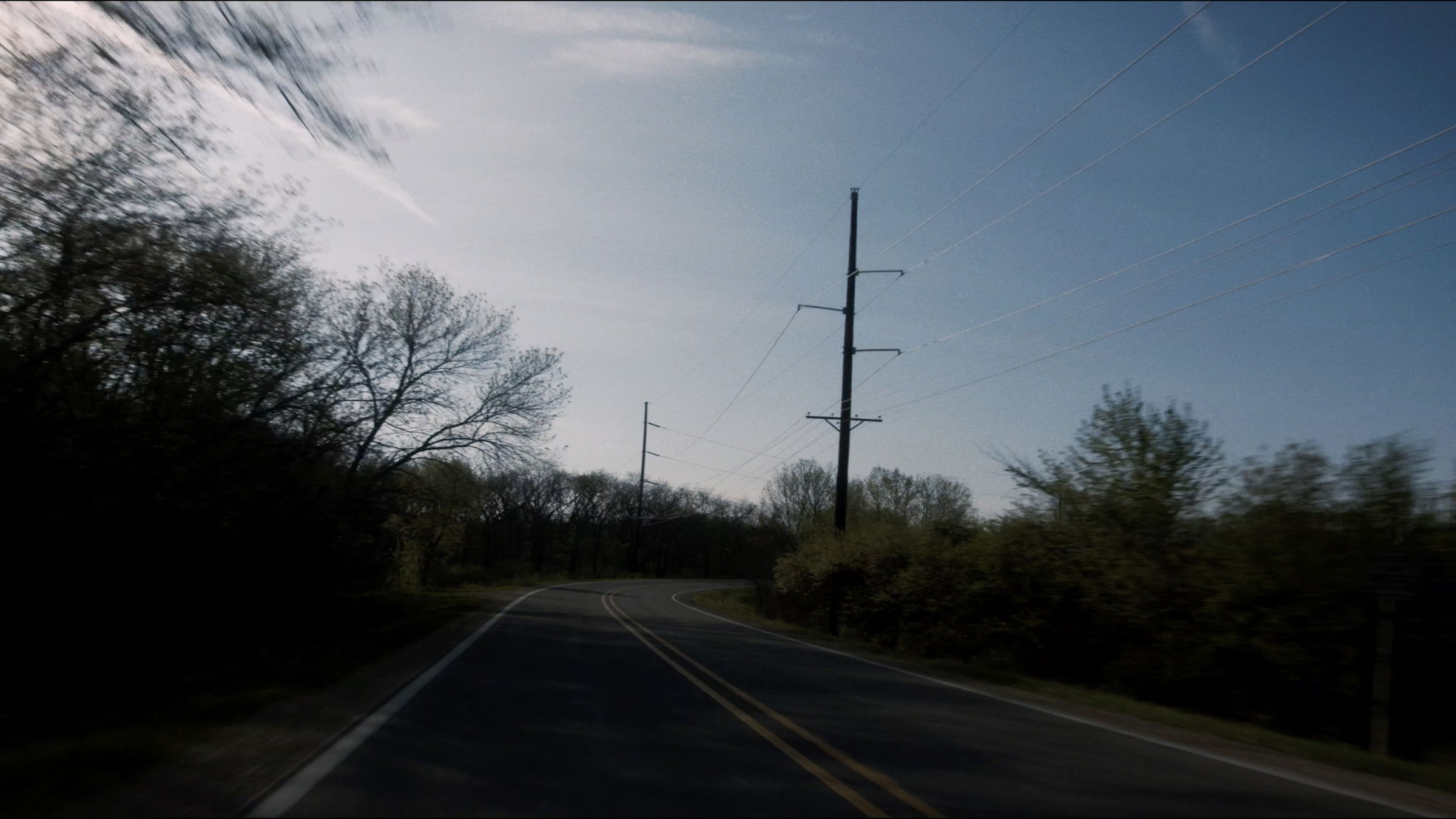 Backdrop for Grizzly