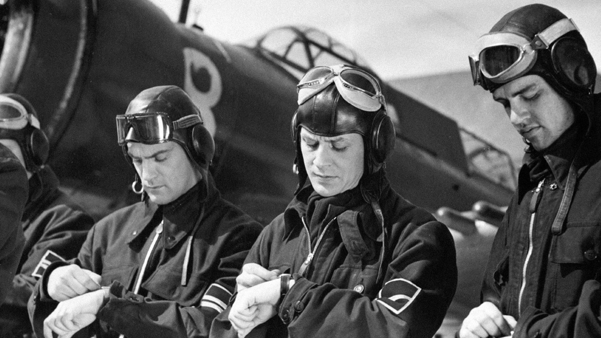 Backdrop for The First Squadron