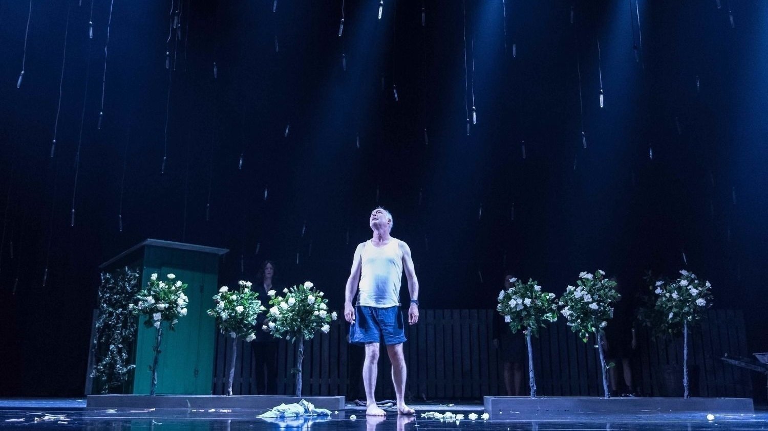 Backdrop for Things I Know to Be True