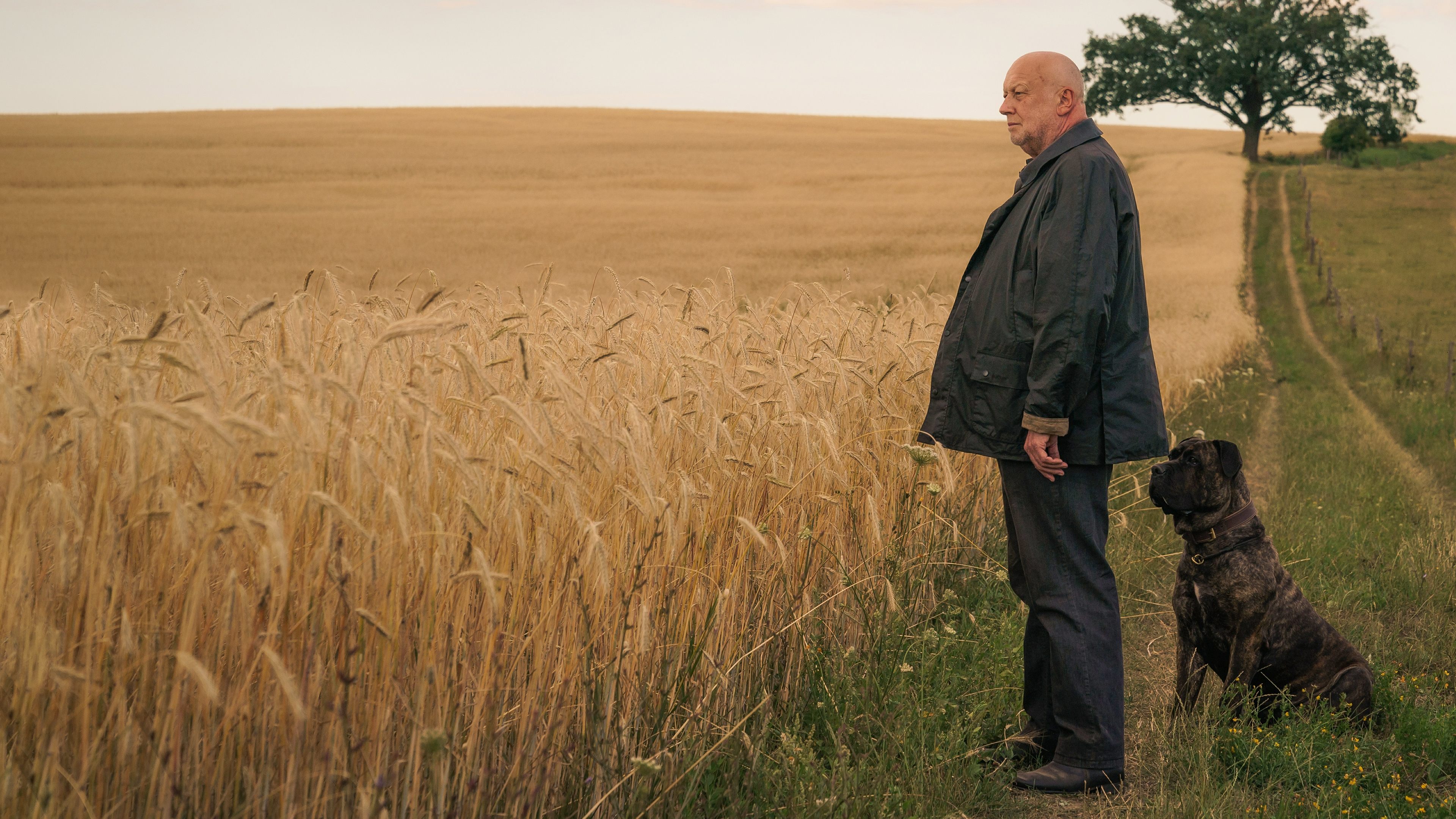Backdrop for Unterleuten: The Torn Village