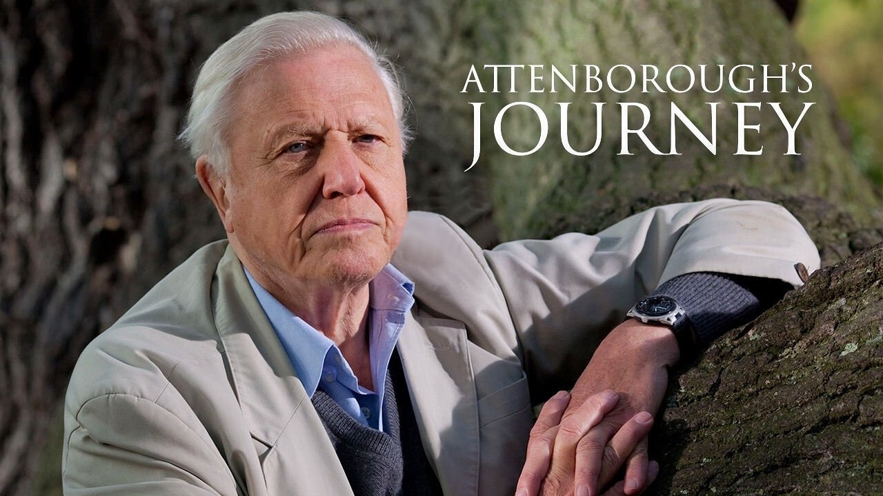 Backdrop for Attenborough's Journey