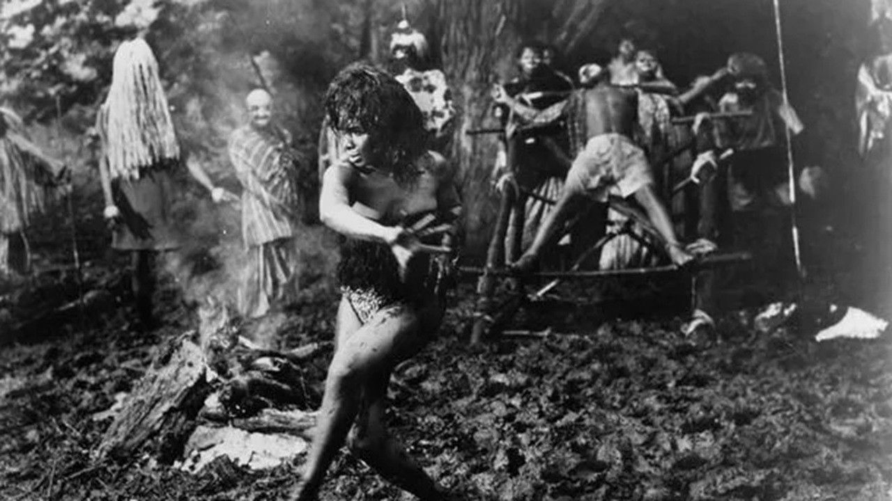 Backdrop for Curse of the Voodoo