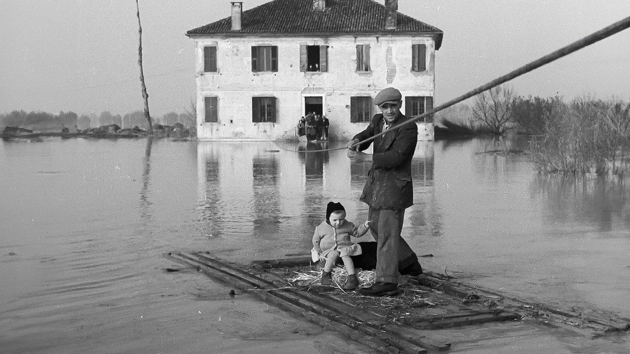 Backdrop for 9×10 Ninety