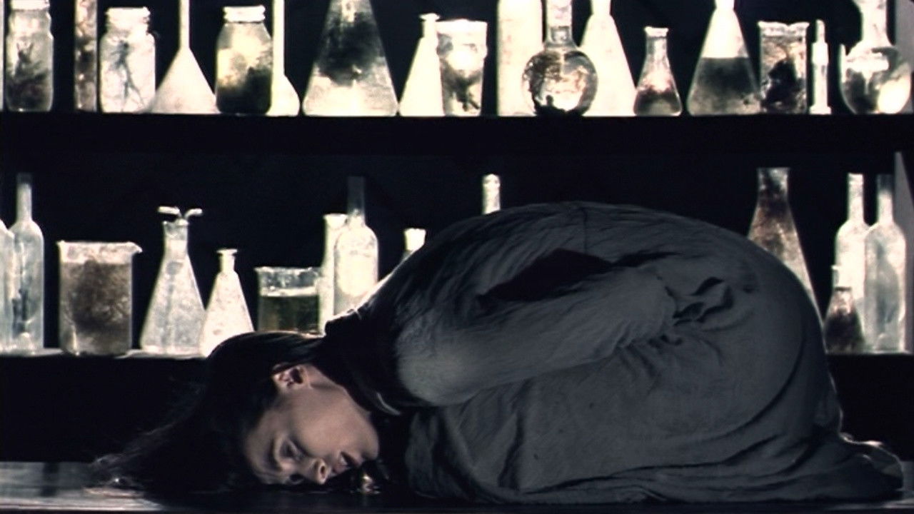 Backdrop for Thief or Reality