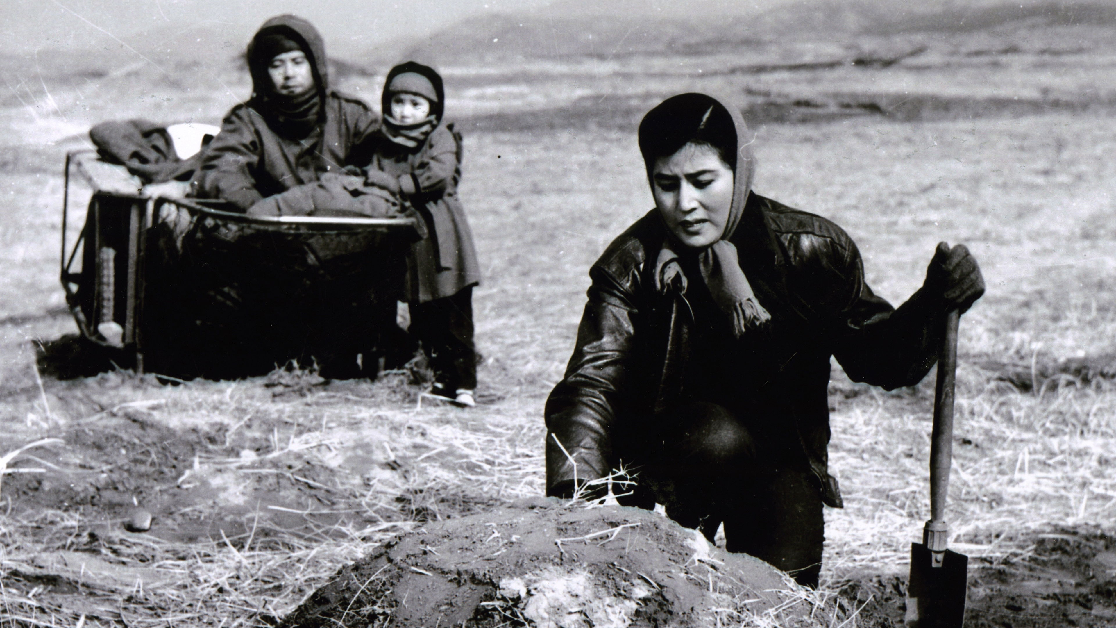 Backdrop for To the Last Day