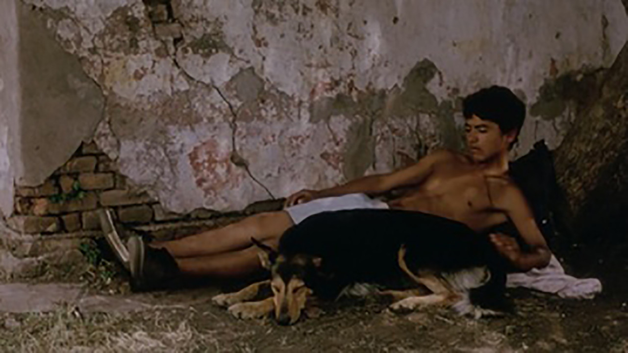 Backdrop for More than the world