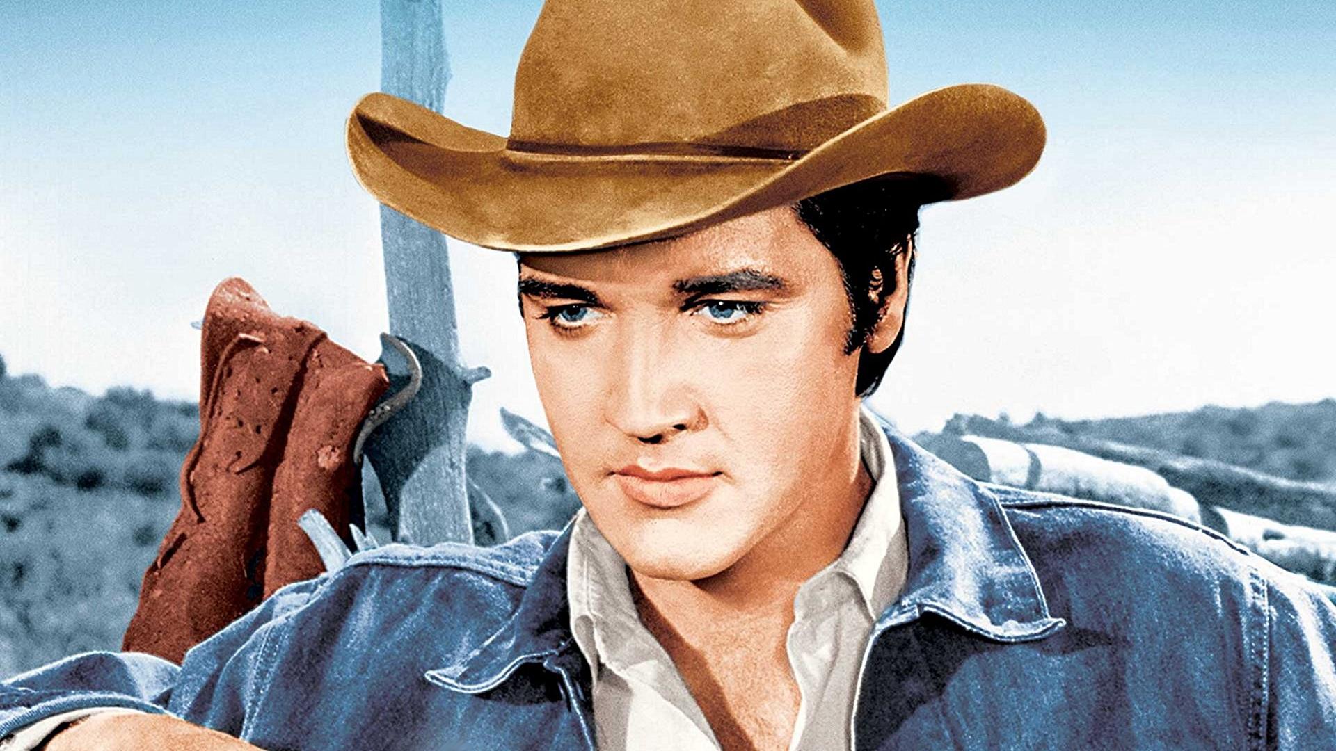 Backdrop for Stay Away, Joe