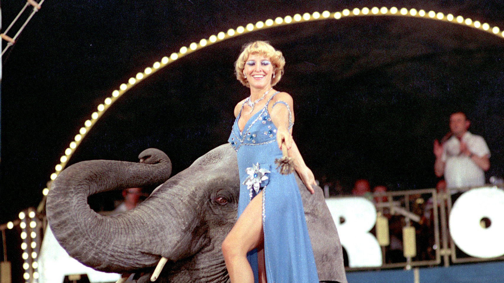 Backdrop for Cirkus na zelené louce