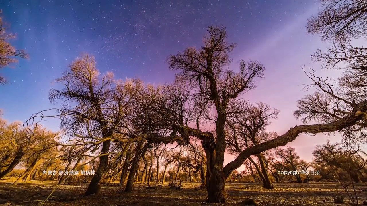 Backdrop for China in Motion