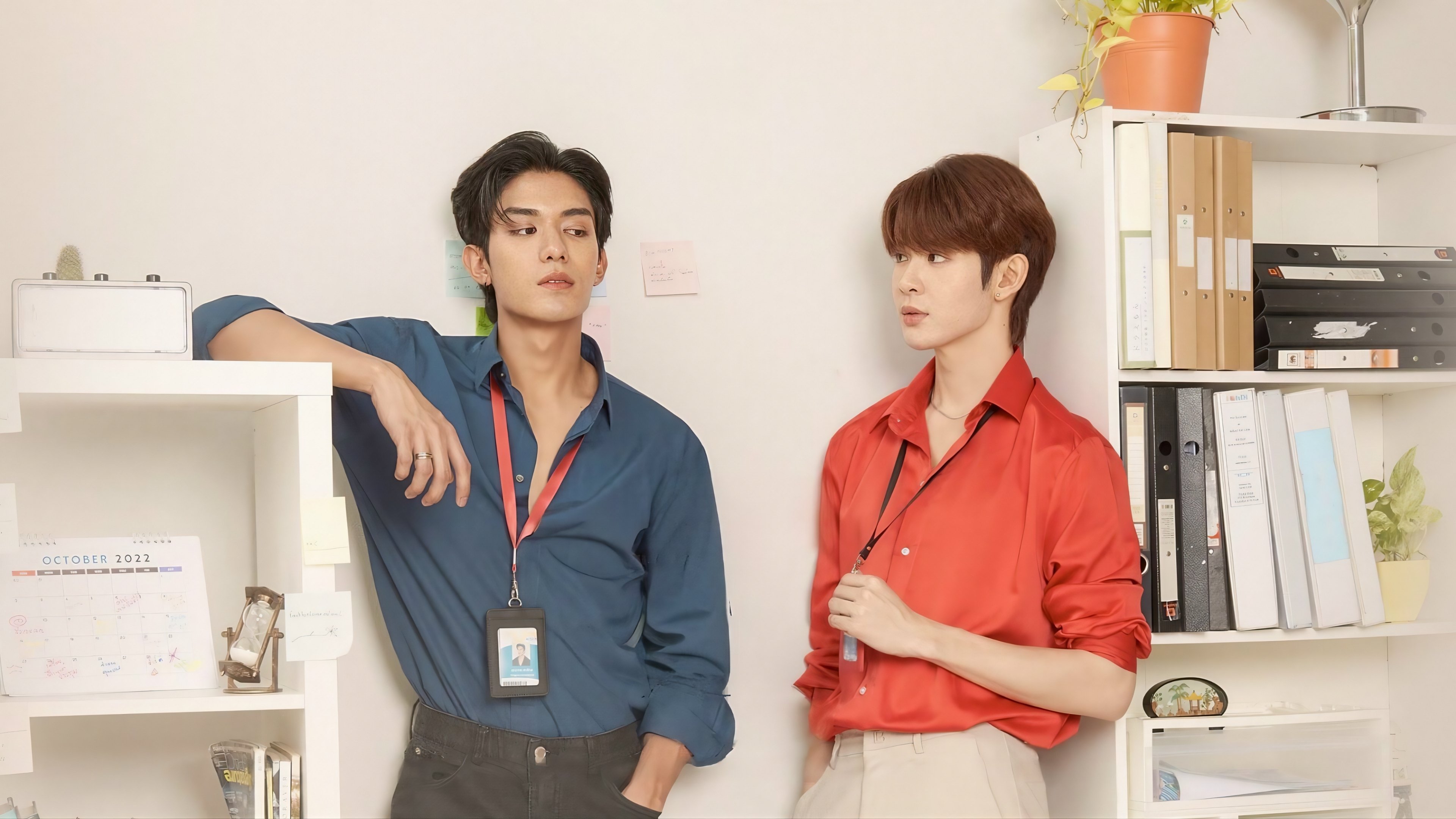 Backdrop for Bed Friend