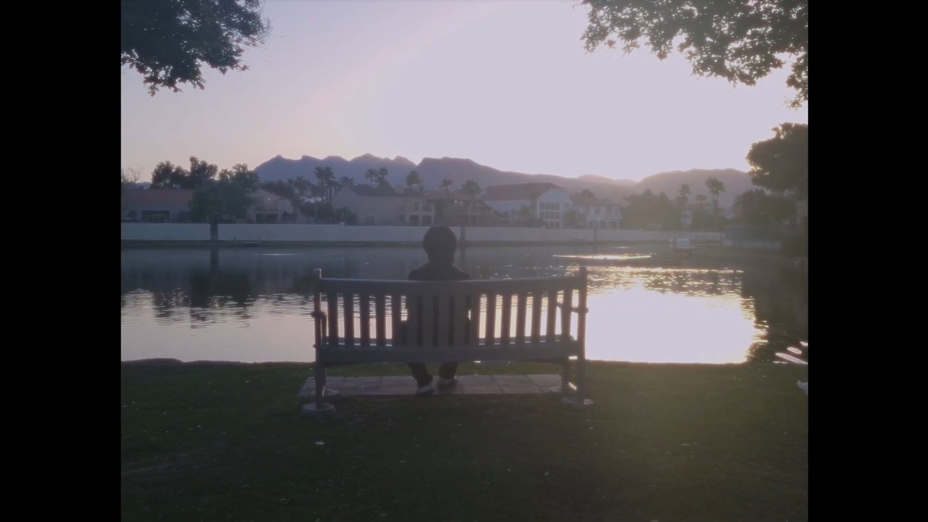 Backdrop for halcyon / aimer