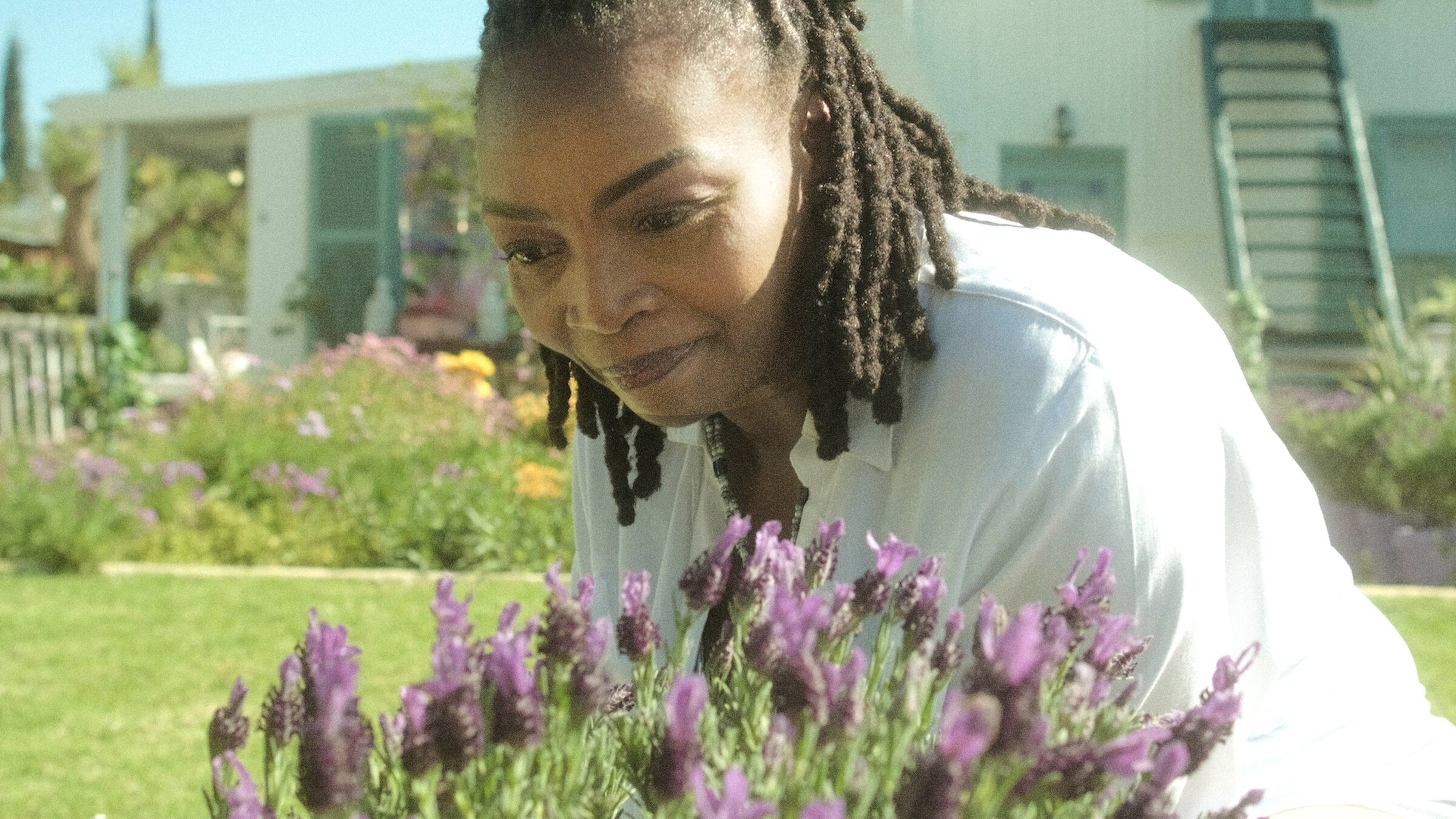 Backdrop for The Kingdom