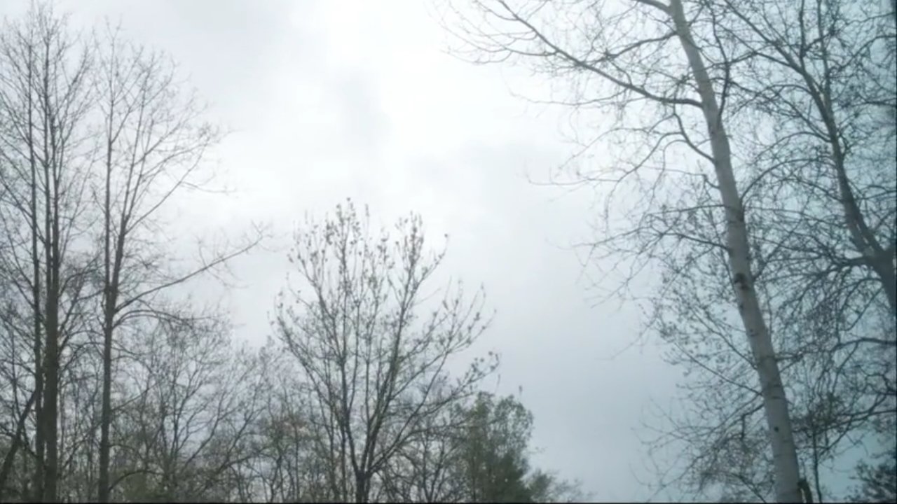 Backdrop for La Traversée