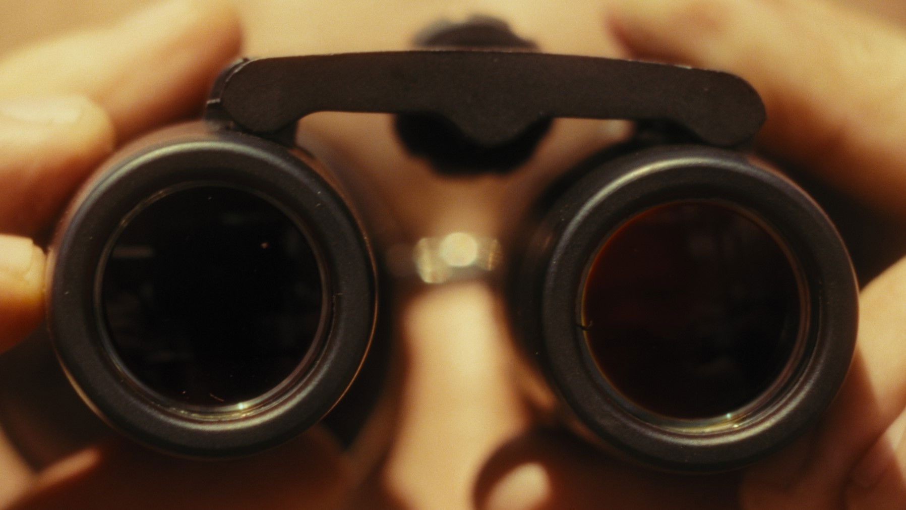 Backdrop for ROLLING