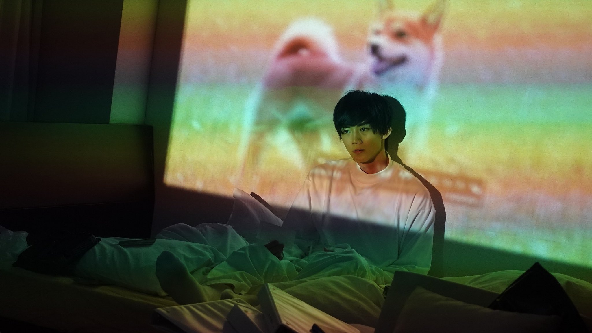 Backdrop for Dog Turns and Runs Away