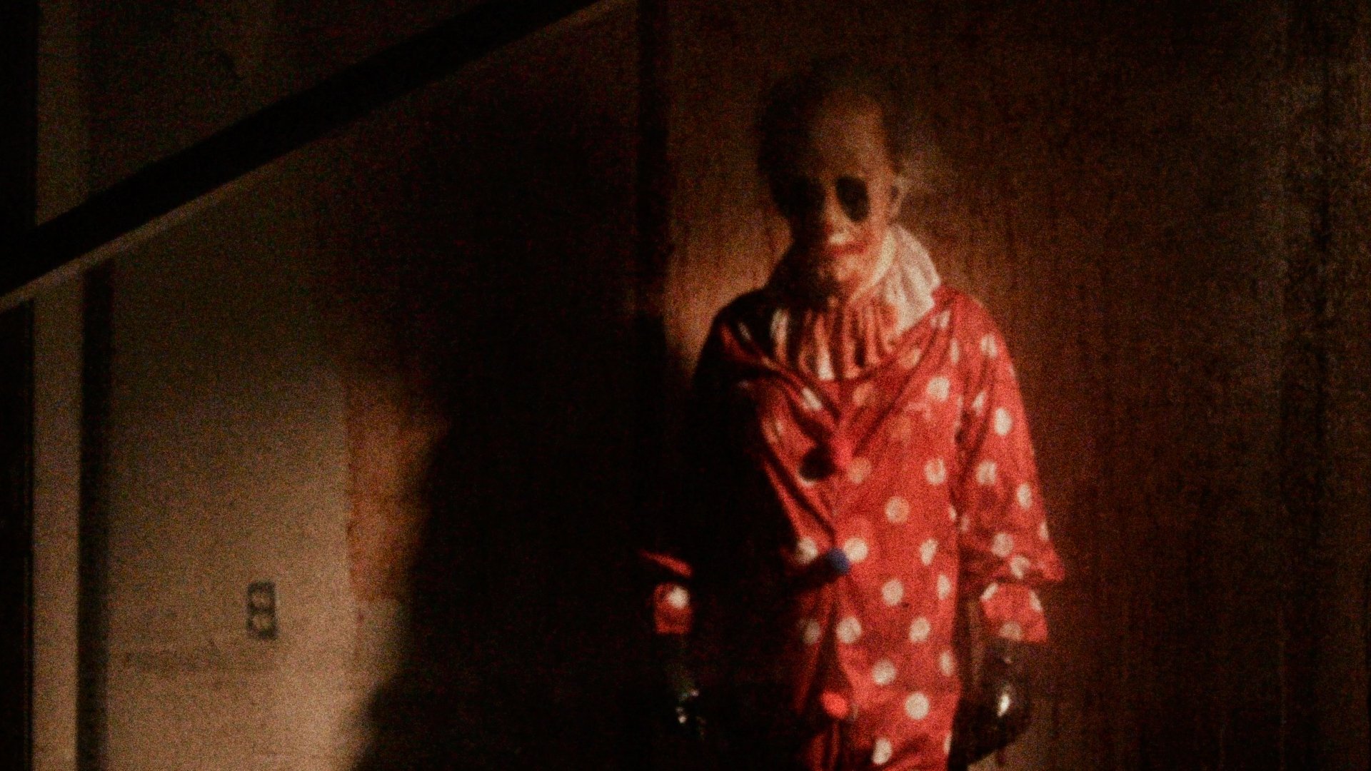 Backdrop for Wrinkles the Clown