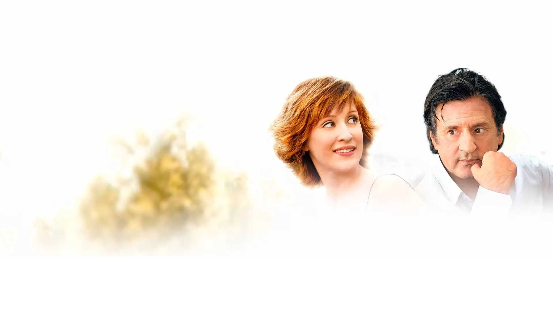 Backdrop for Fair is Fair