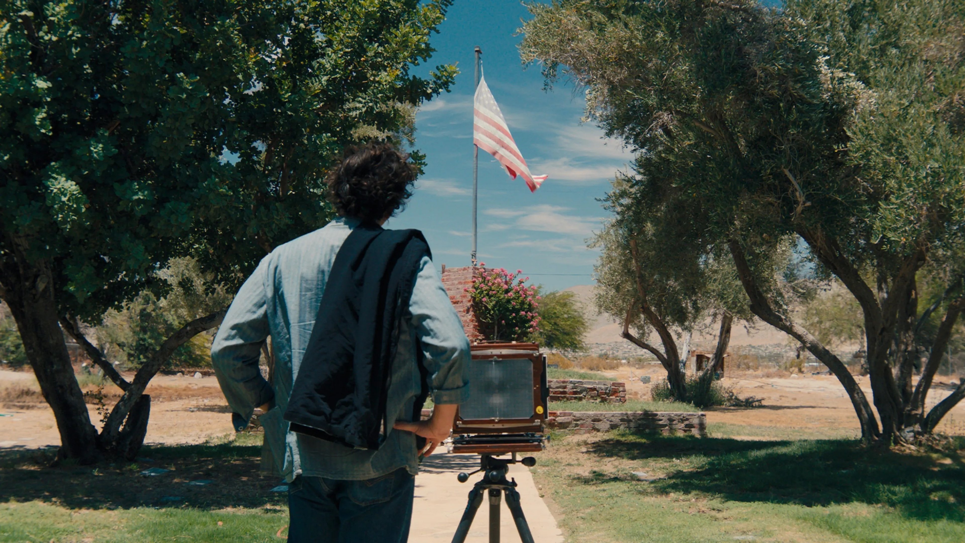 Backdrop for A Desert