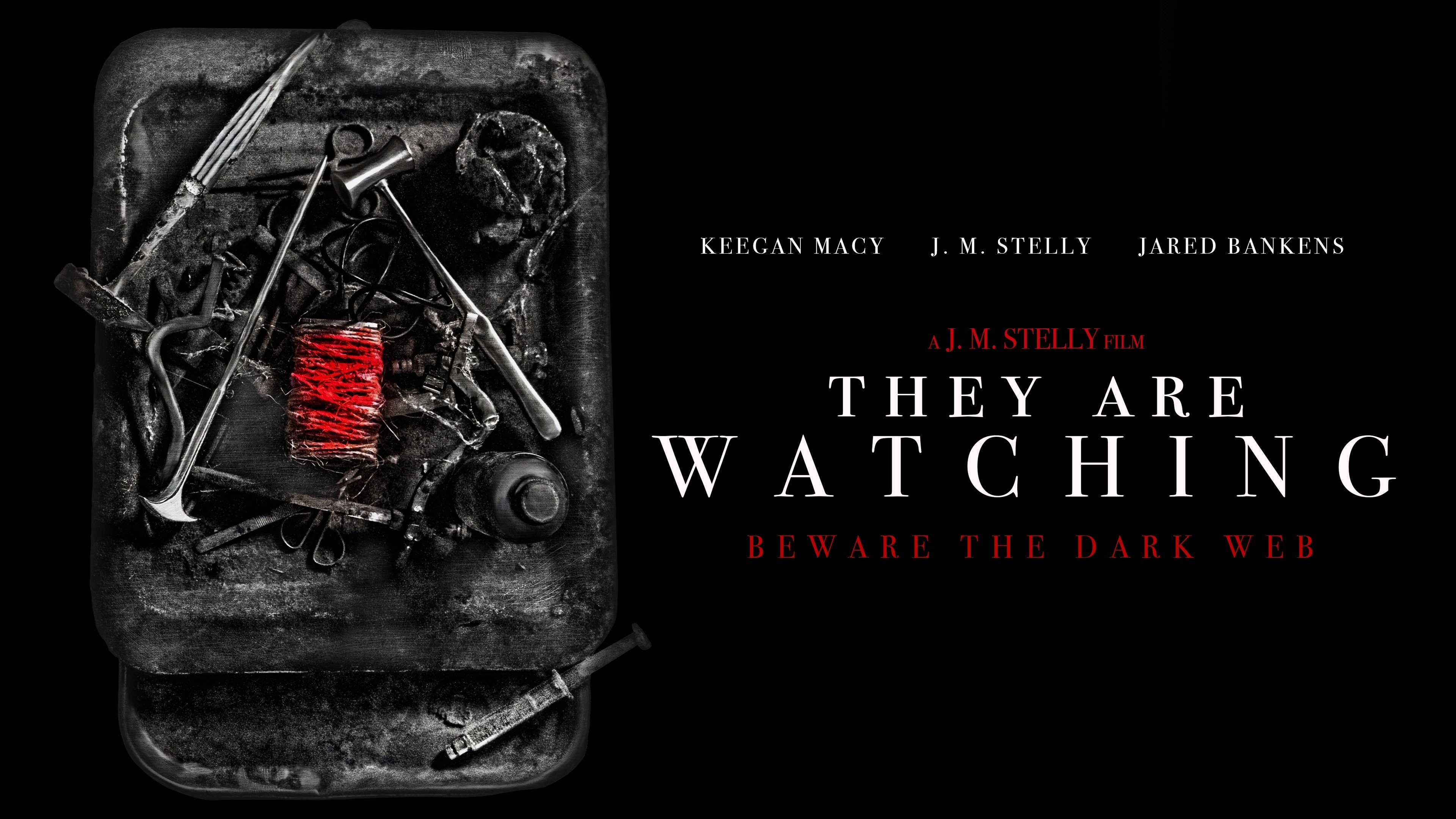 Backdrop for They Are Watching