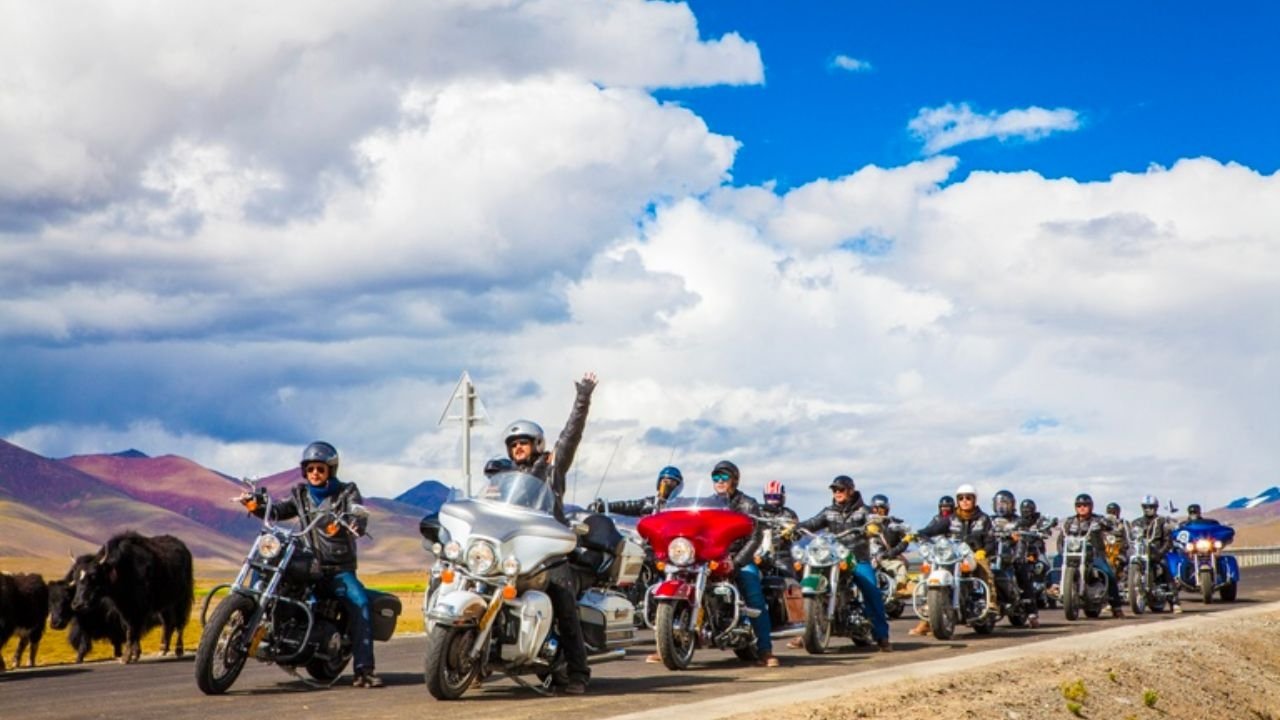 Backdrop for Redemption with Life