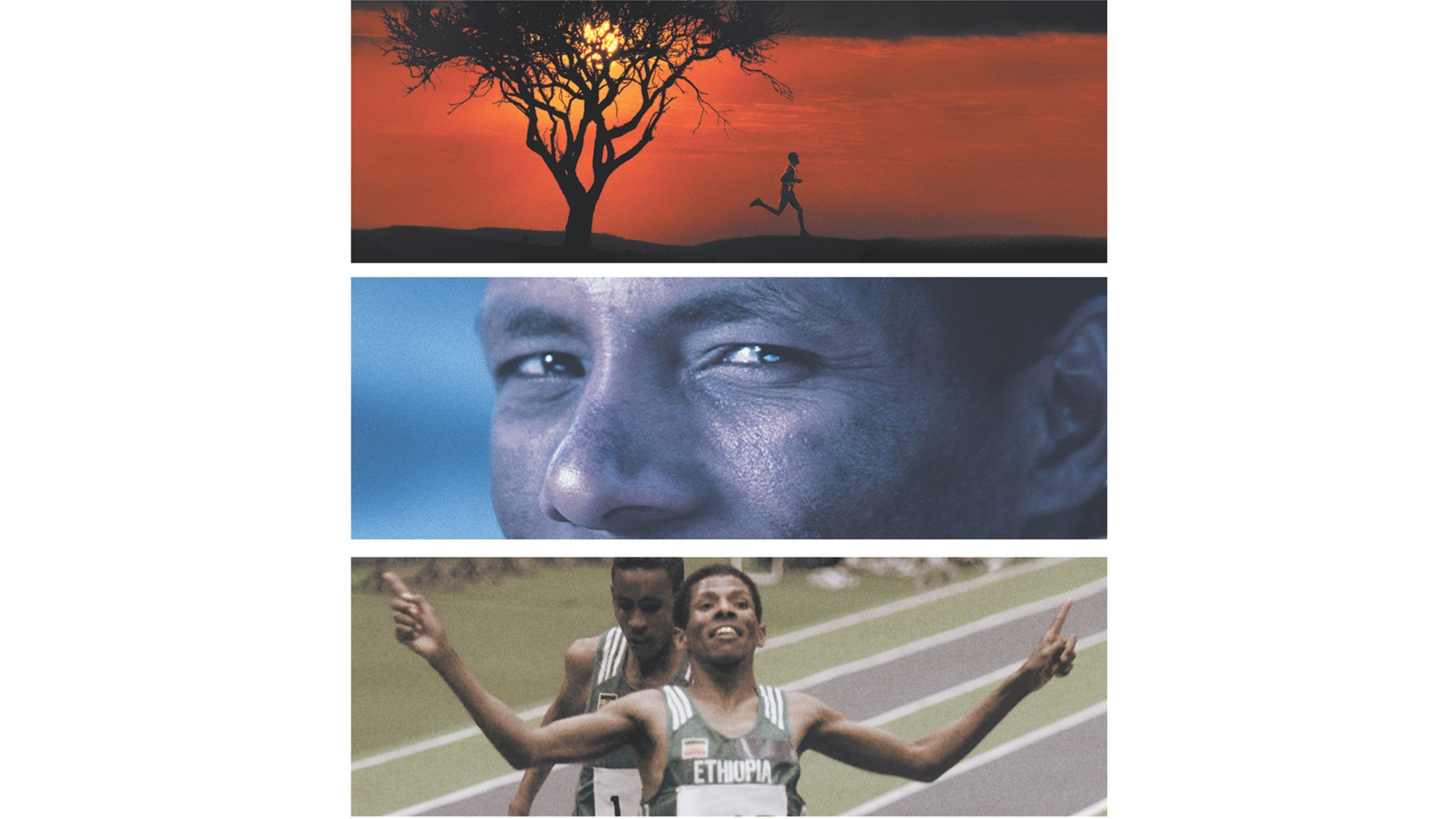 Backdrop for Endurance