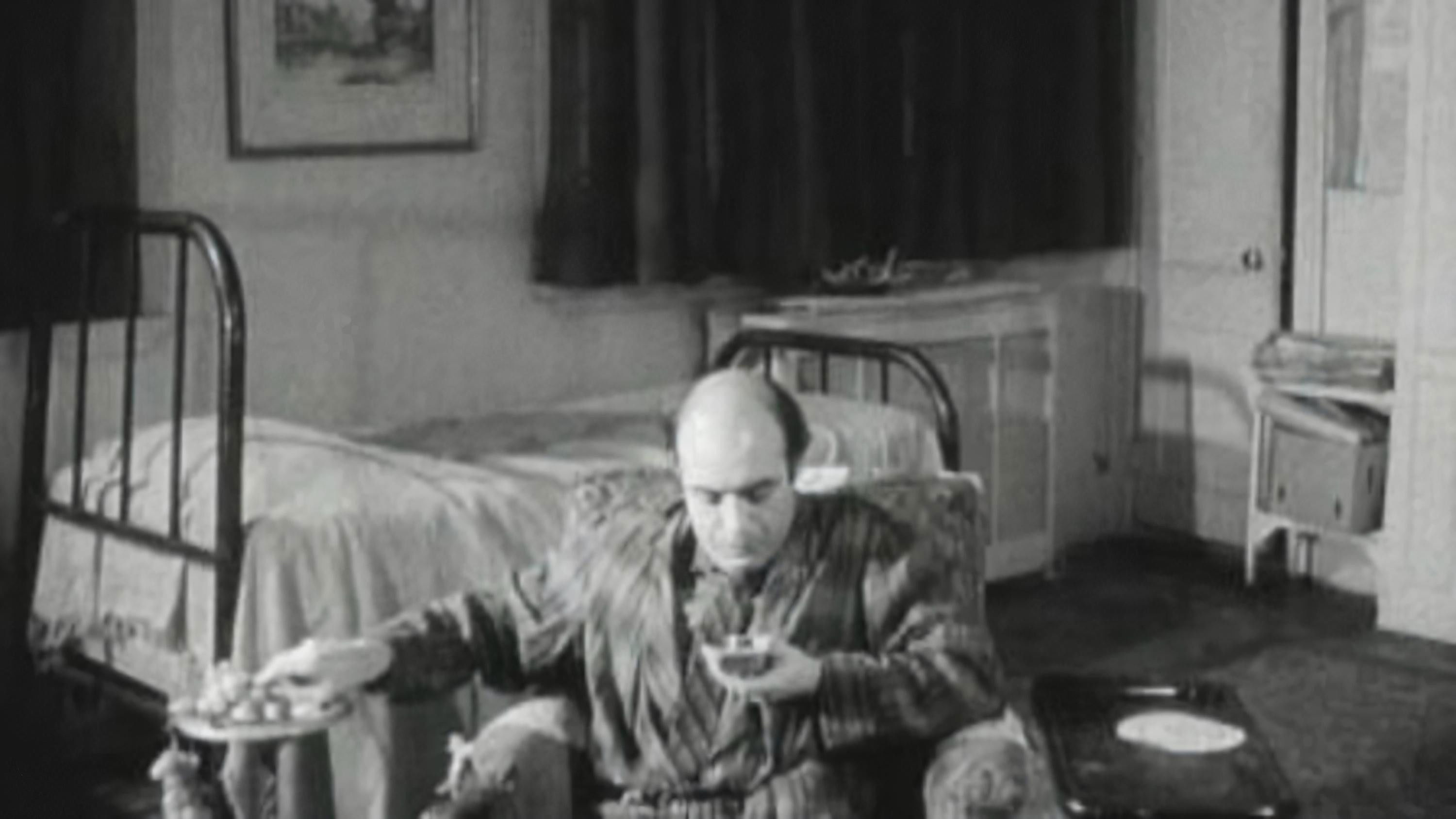 Backdrop for The Box