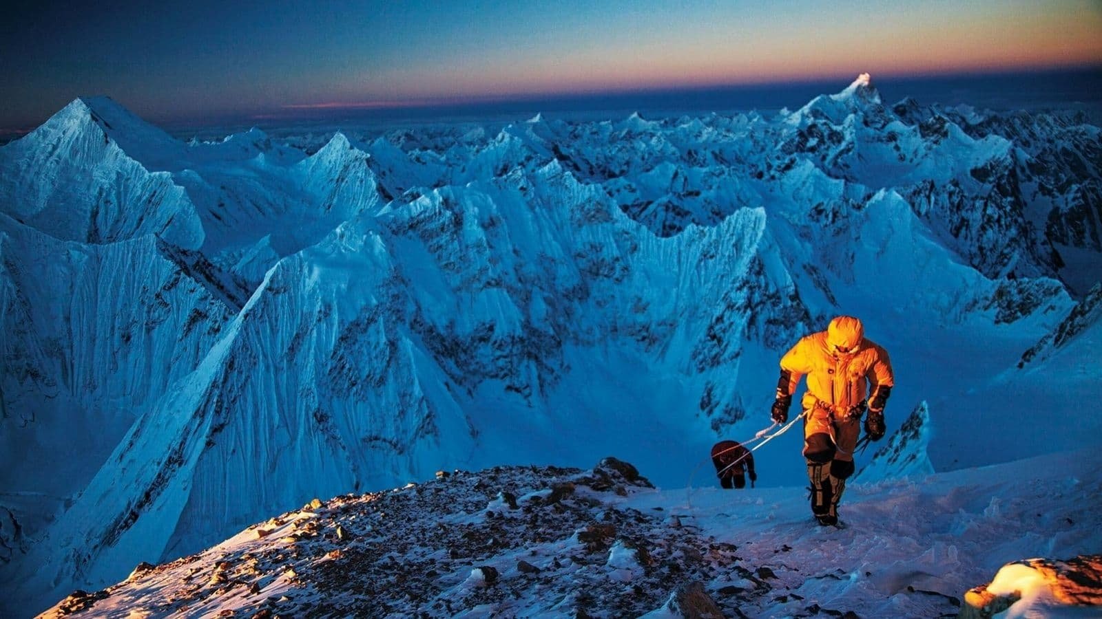 Backdrop for Best Of E.O.F.T. No. 8