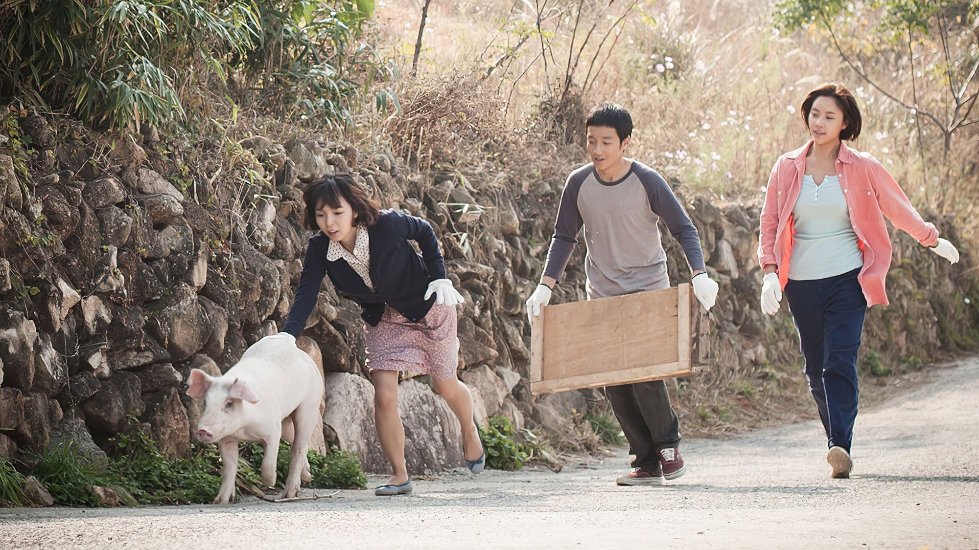 Backdrop for My Sister, the Pig Lady