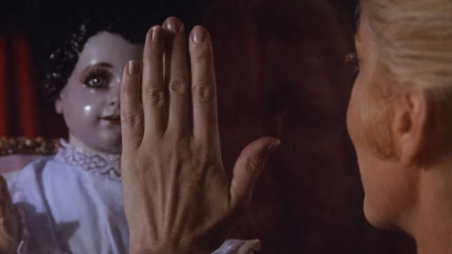 Backdrop for The Dried Butterflies