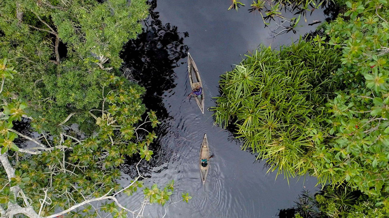Backdrop for Frontier Sumatra