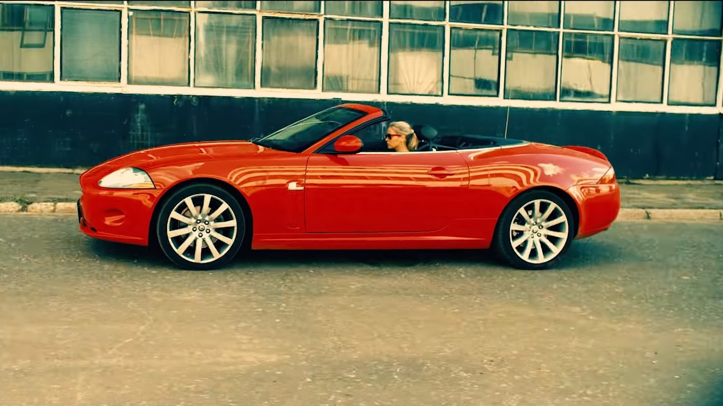 Backdrop for Сука