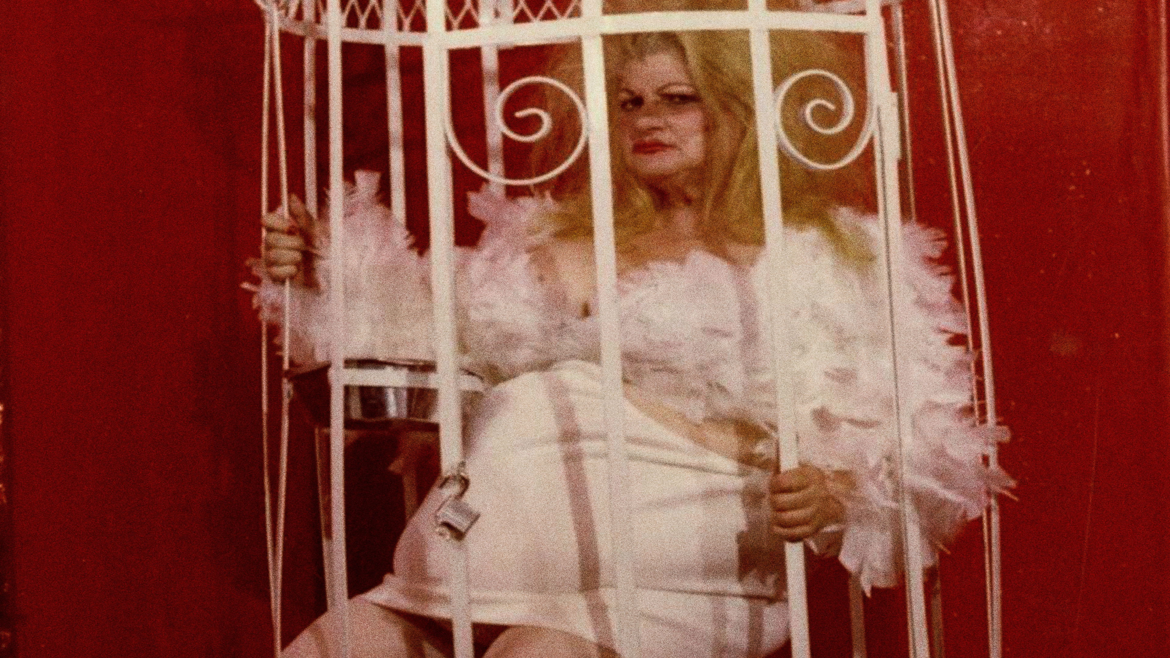 Backdrop for Love Letter to Edie