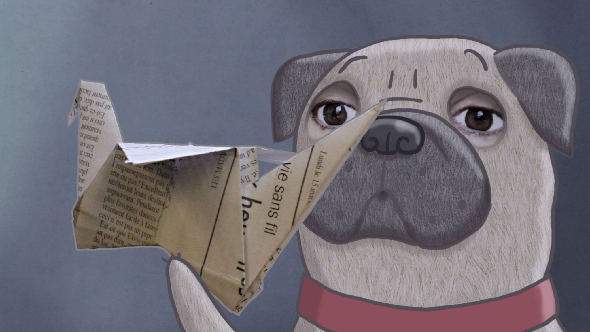 Backdrop for Monsieur Pug