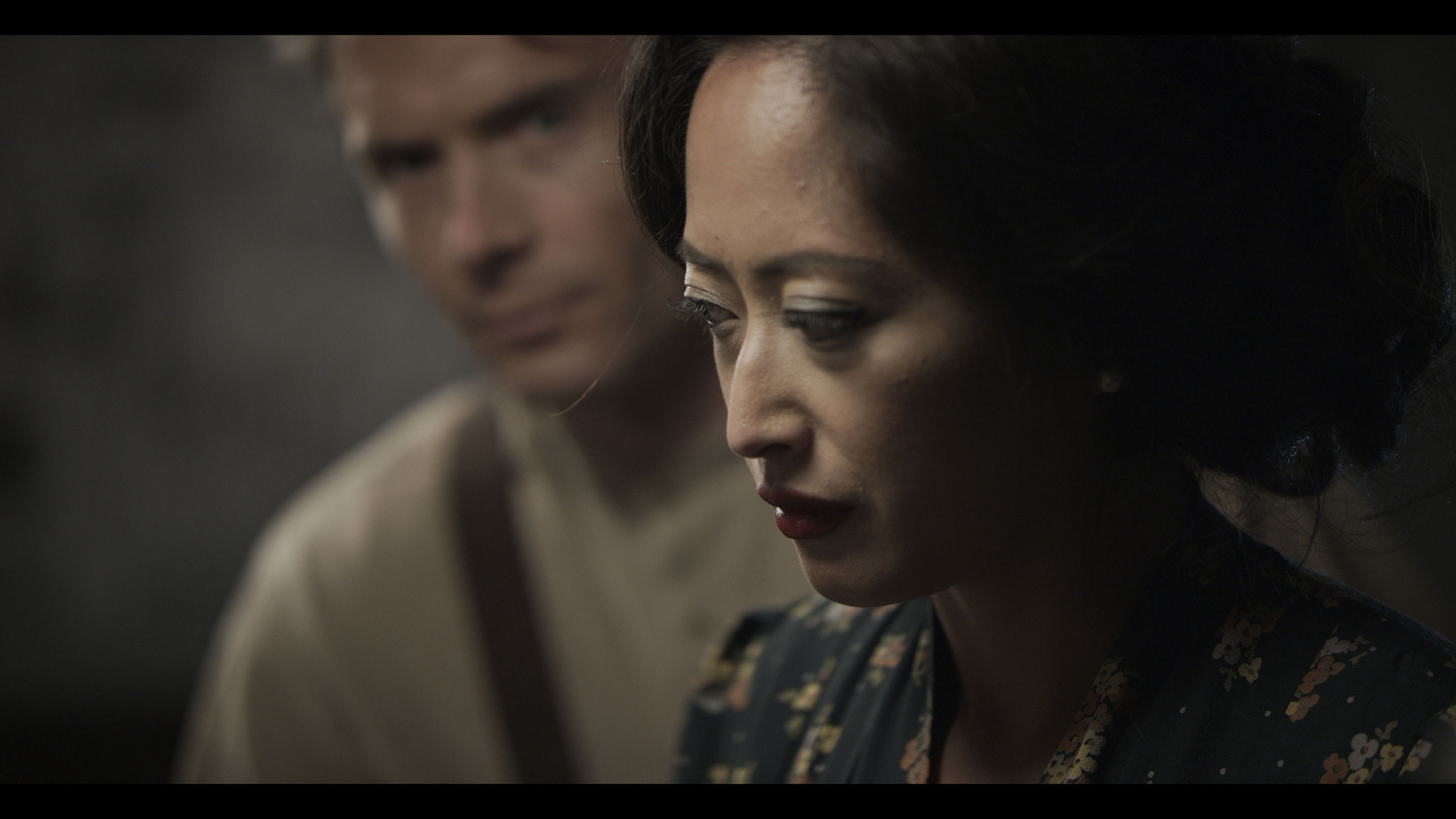 Backdrop for No Dogs