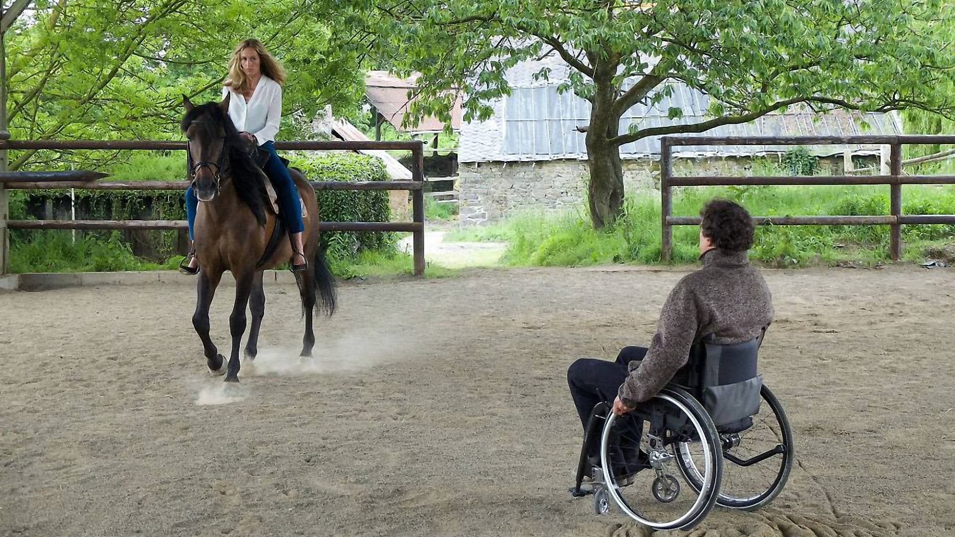 Backdrop for In Harmony